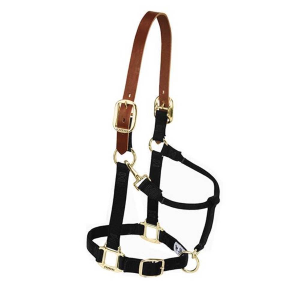 1 Leather Overlay Adjustable Nylon Halter with Leather Crown