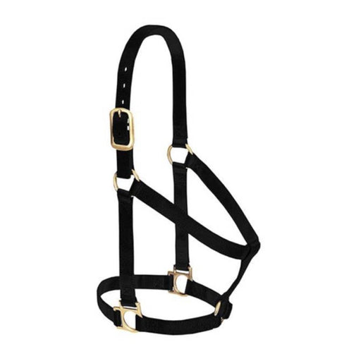 Weaver Non-Adjustable 1" Yearling Halter Tack - Halters & Leads Weaver Black