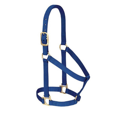 Weaver Non-Adjustable 1" Yearling Halter Tack - Halters & Leads Weaver Navy