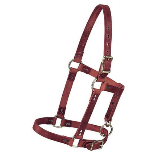 Weaver Riveted Burgundy Latigo Halter Tack - Halters & Leads Weaver