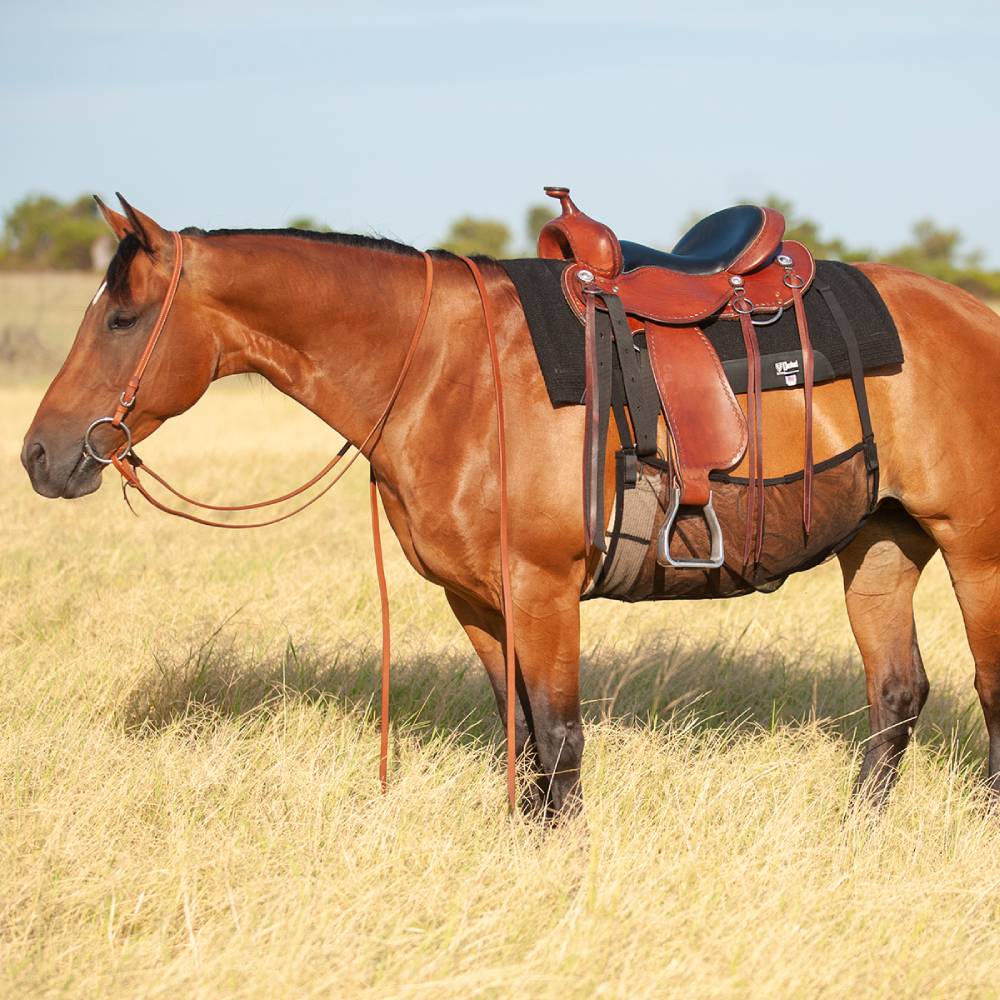 Cashel Quiet Ride Belly Guard Equine - Fly & Insect Control Cashel Small  