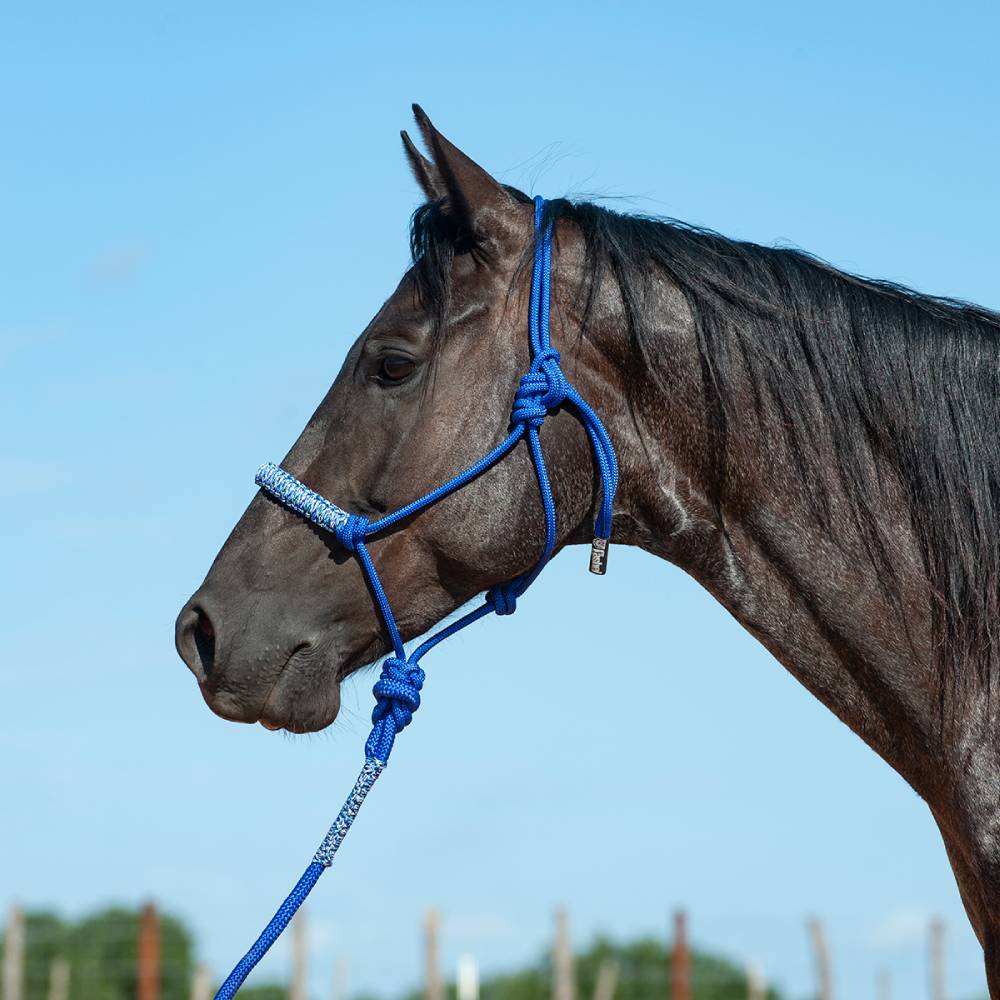 Cashel Braided Rope Nose Halter with Lead - Teskeys