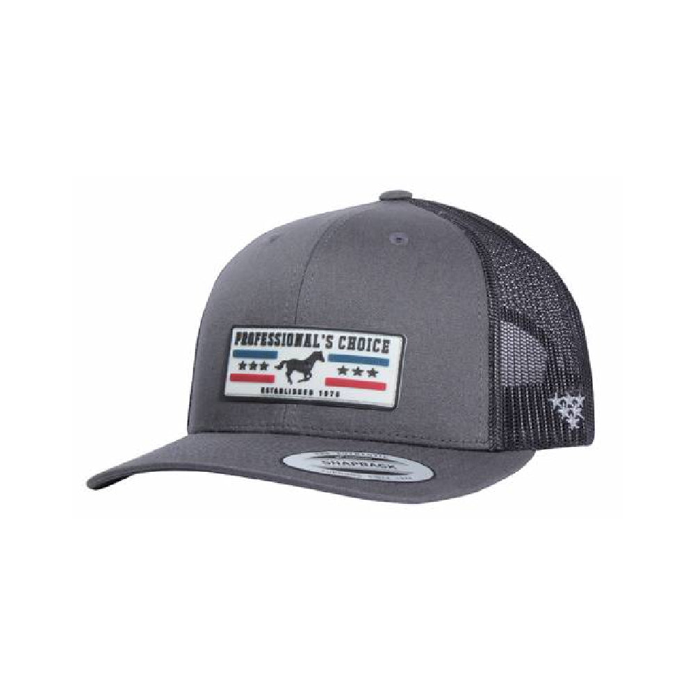 Precurved Dallas snapback - CHARCOAL