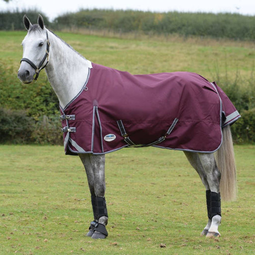 Weatherbeeta Comfitec Plus Dynamic ll Standard Neck Medium - Black/Red Equine - Blankets & Sheets Weatherbeeta 69"  