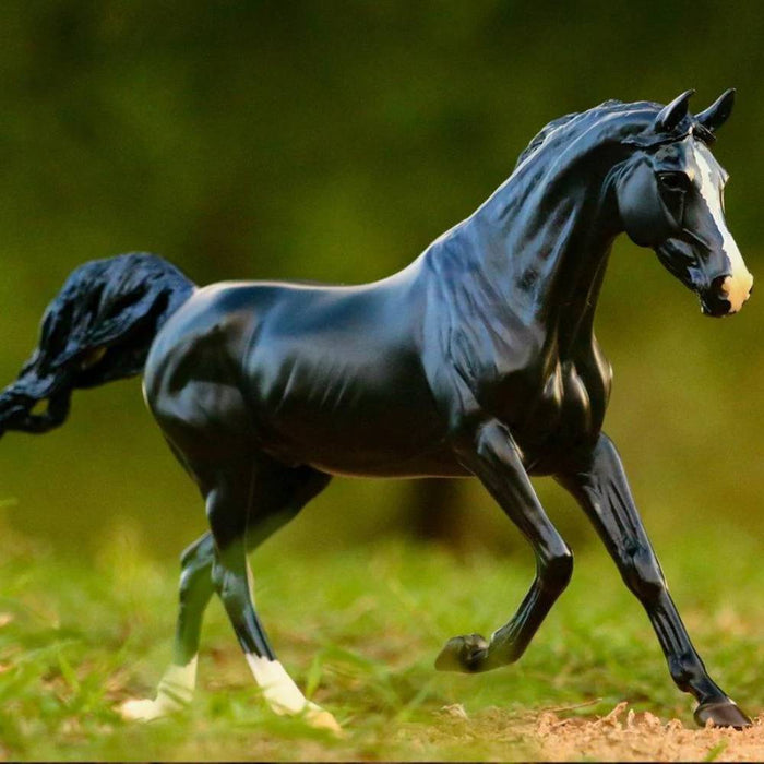Breyer KB Omega Fahim KIDS - Accessories - Toys Breyer   