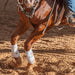 Classic Equine AirWave EZ Wrap II Tack - Leg Protection Classic Equine   