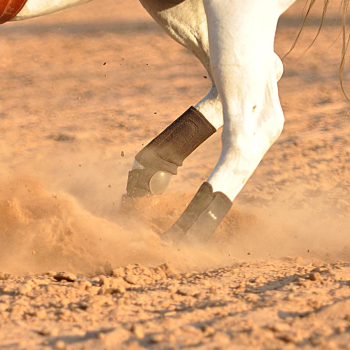 Classic Equine ProTech Splint Boots - Hind Tack - Leg Protection Classic Equine   