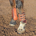 Classic Equine Leather Splint Boot Tack - Leg Protection Classic Equine   