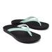 Olukai Women's Puawe Sandals WOMEN - Footwear - Sandals Olukai   