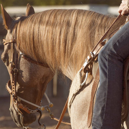 Martin Saddlery Rope Border and Dots Single Rope Noseband Tack - Nosebands & Tie Downs Martin Saddlery
