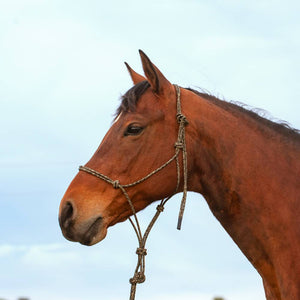 Classic Equine Premium Rope Halter Tack - Halters & Leads - Halters Classic Equine   