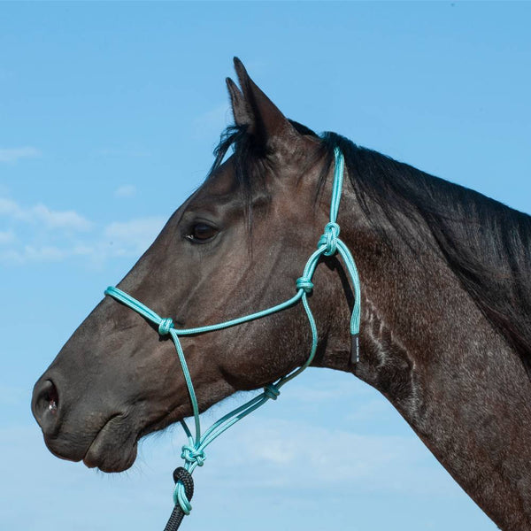 Classic Equine Rope Powder Holder