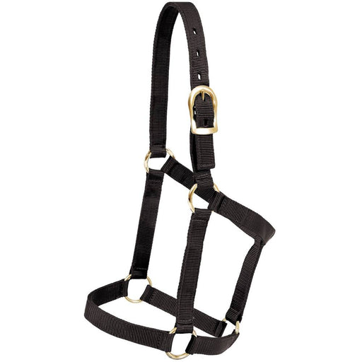 Mustang Economy Nylon Halter Tack - Halters & Leads Mustang Black
