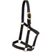Mustang Economy Nylon Halter Tack - Halters & Leads Mustang Black