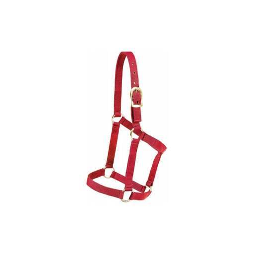 Mustang Economy Nylon Halter Tack - Halters & Leads Mustang Red
