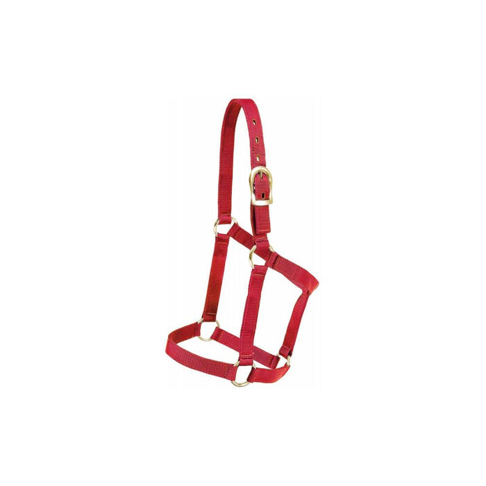 Mustang Economy Nylon Halter Tack - Halters & Leads Mustang Red