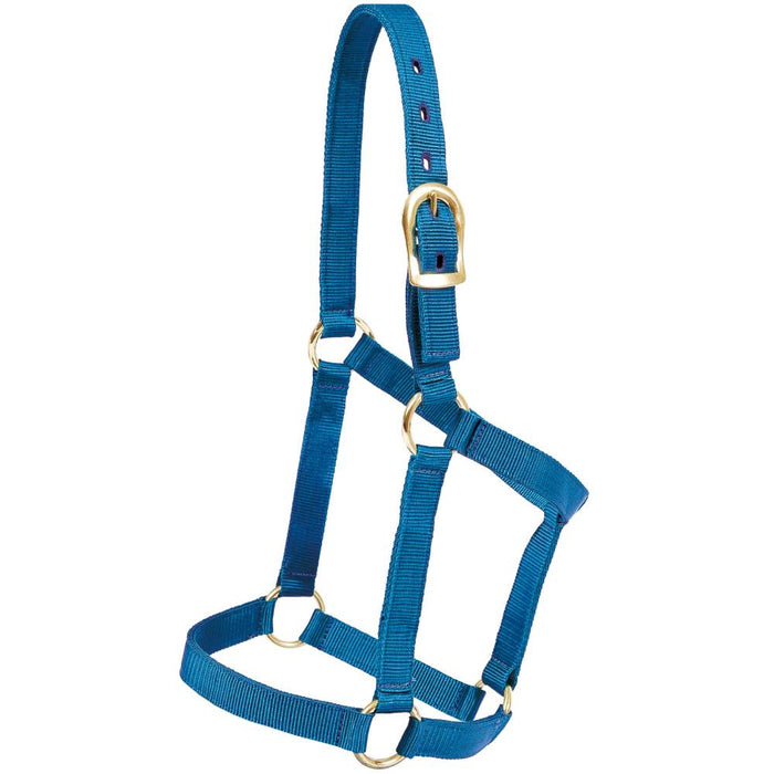 Mustang Economy Nylon Halter Tack - Halters & Leads Mustang Blue