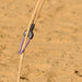 Nothin But Neck Breakaway Hondas Tack - Ropes & Roping Nothin But Neck