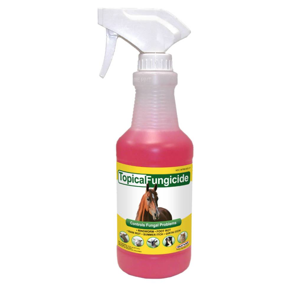 Topical Fungicide Farrier & Hoof Care - Topicals Durvet   