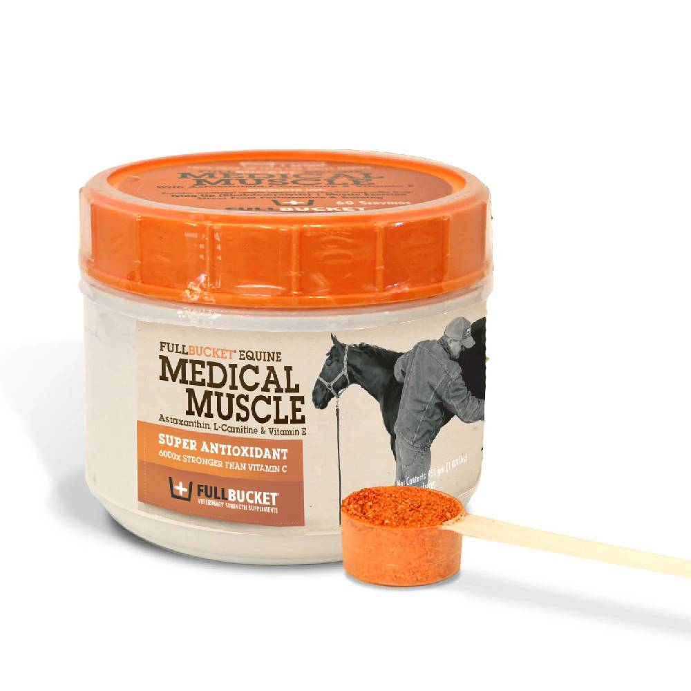 l carnitine food Full Bucket Equine Medical Muscle Recovery — Teskeys