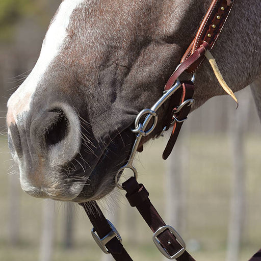 Classic Equine Goostree Double Gag Long Shank Dr Bristol Bit Tack - Bits Classic Equine