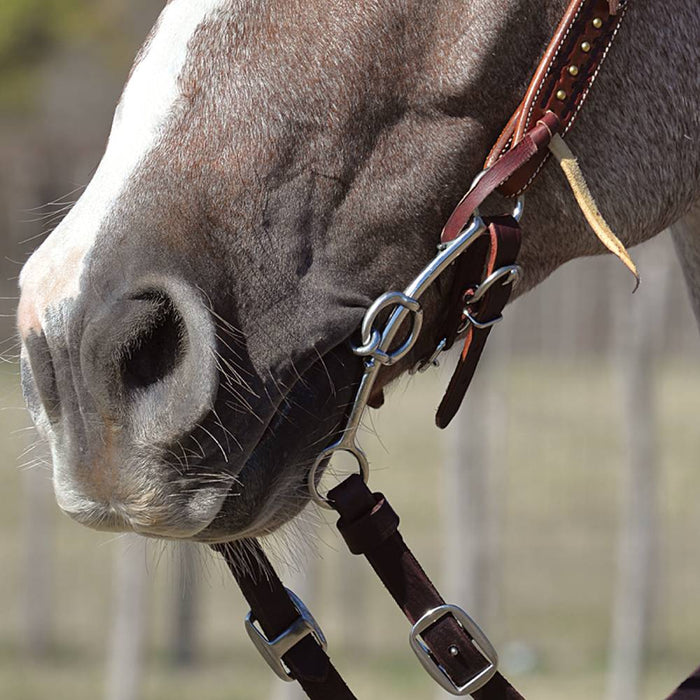 Classic Equine Goostree Double Gag Long Shank Dr Bristol Bit Tack - Bits Classic Equine