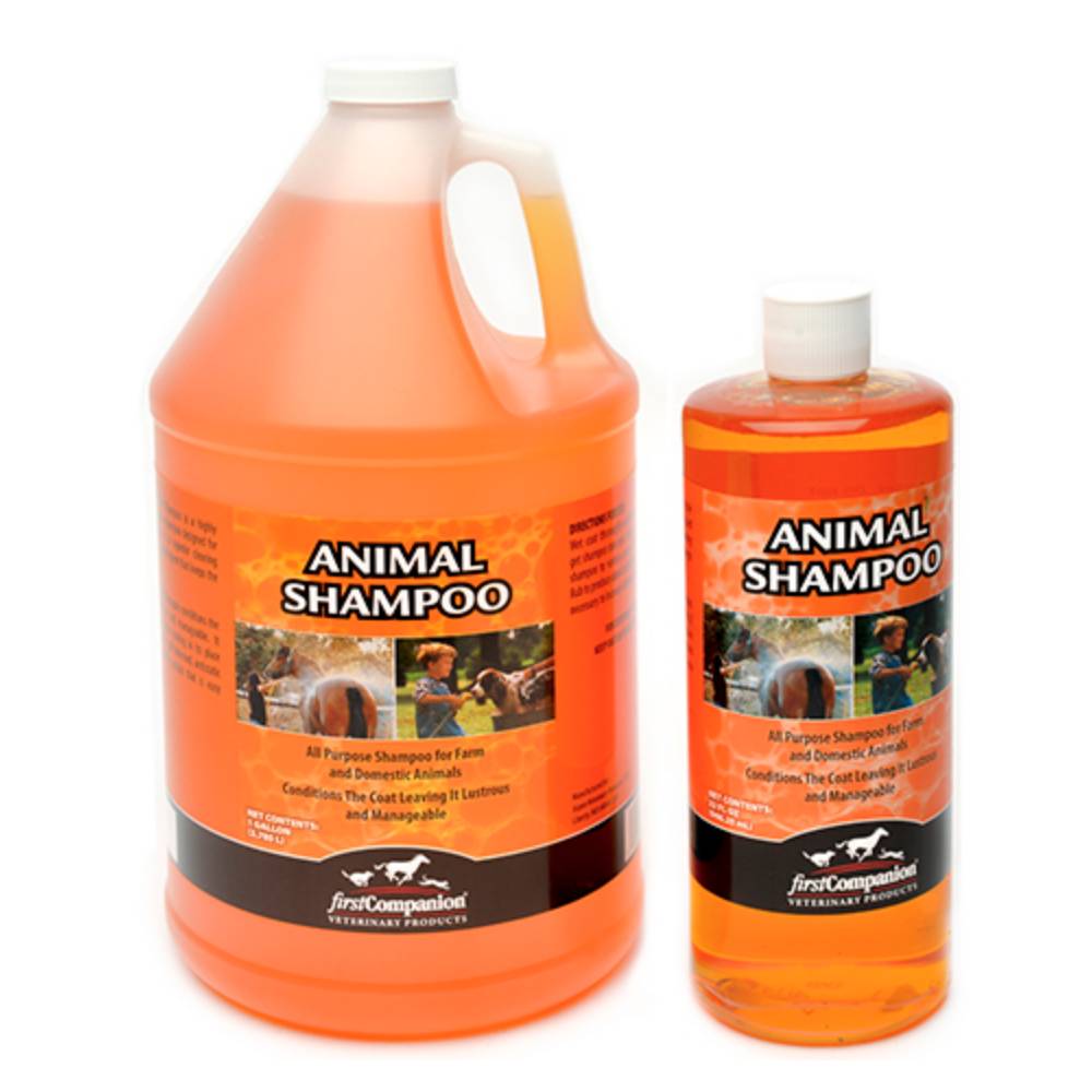First Companion Animal Shampoo Farm & Ranch - Animal Care - Livestock - Coat Care First Companion   