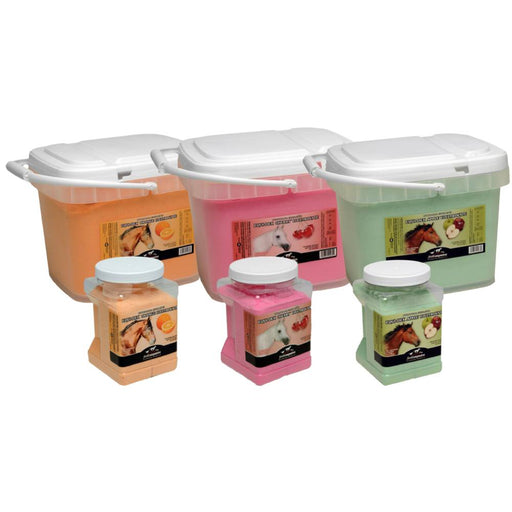 First Companion Equi-Dex Electrolytes Equine - Supplements First Companion   
