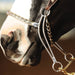 Classic Equine Goostree Hackamore Tack - Bits Classic Equine   