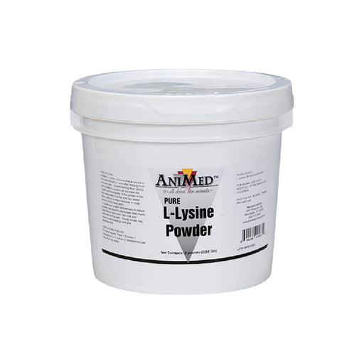 AniMed L-Lysine Powder Equine - Supplements Animed