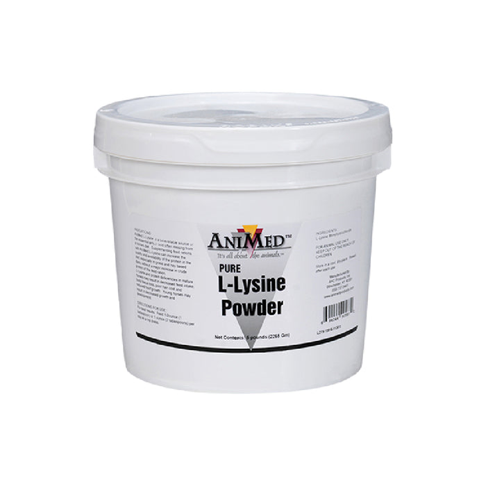 AniMed L-Lysine Powder Equine - Supplements Animed