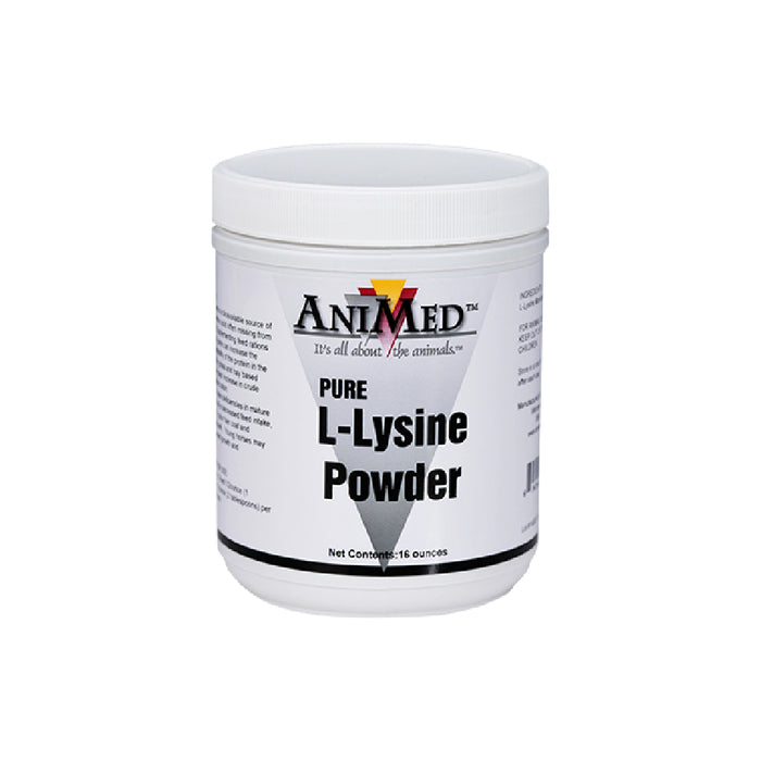 AniMed L-Lysine Powder Equine - Supplements Animed 1lb