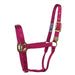 Hamilton 1" Deluxe Nylon Halter - Horse Sizes Tack - Halters & Leads Hamilton
