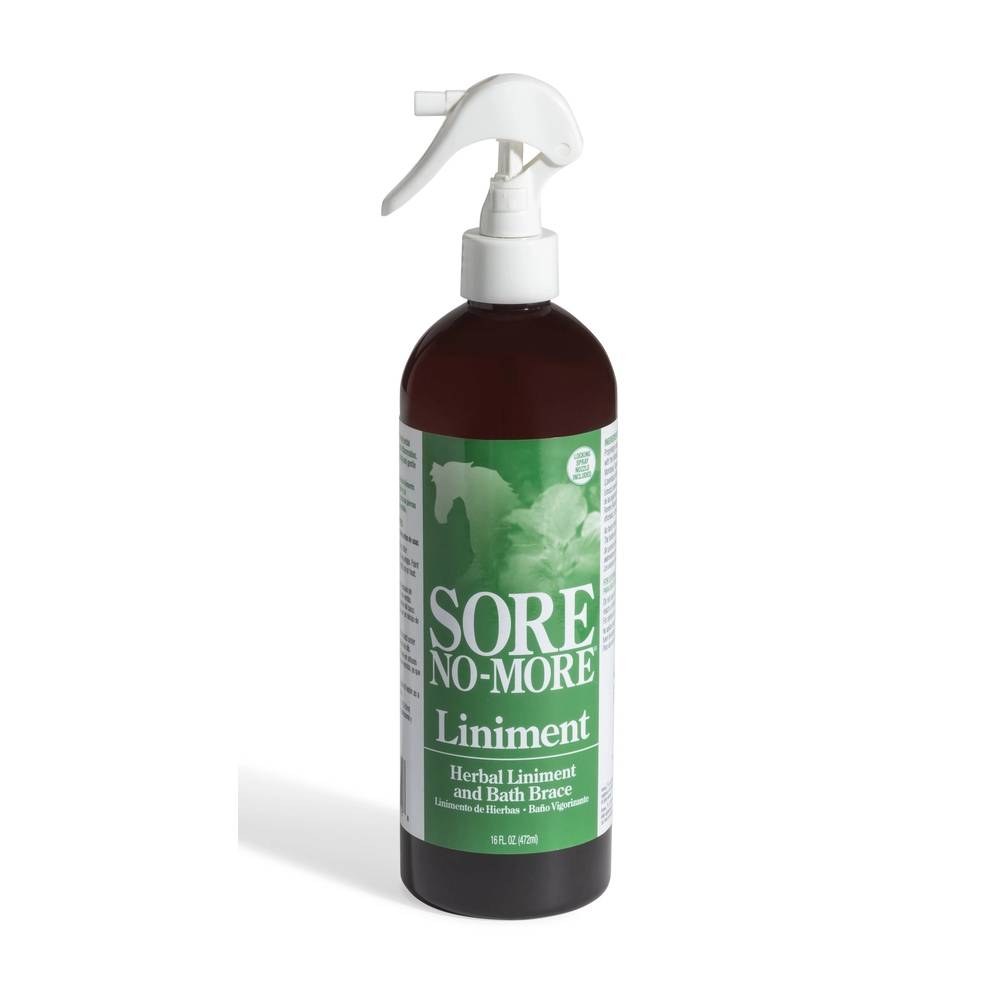 Sore No More Liniment First Aid & Medical - Liniments & Poultices Sore No More 16 oz.  