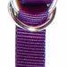 Professional's Choice Nylon 1" Tie Down Strap Tack - Nosebands & Tie Downs Professional's Choice Purple
