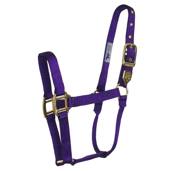 Hamilton 1" Deluxe Nylon Halter - Horse Sizes Tack - Halters & Leads Hamilton Purple Foal