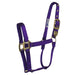 Hamilton 1" Deluxe Nylon Halter - Horse Sizes Tack - Halters & Leads Hamilton Purple Foal