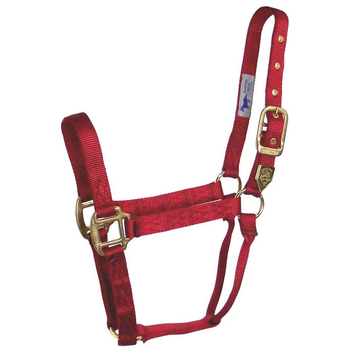 Hamilton 1" Deluxe Nylon Halter - Horse Sizes Tack - Halters & Leads Hamilton Red Foal