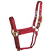 Hamilton 1" Deluxe Nylon Halter - Horse Sizes Tack - Halters & Leads Hamilton Red Foal