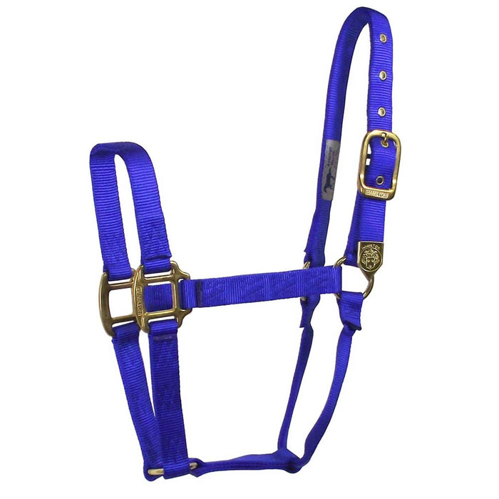 Hamilton 1" Deluxe Nylon Halter - Horse Sizes Tack - Halters & Leads Hamilton Royal Foal