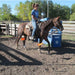 JASPER Training Barrier Tack - Ropes & Roping Jasper Training Barriers