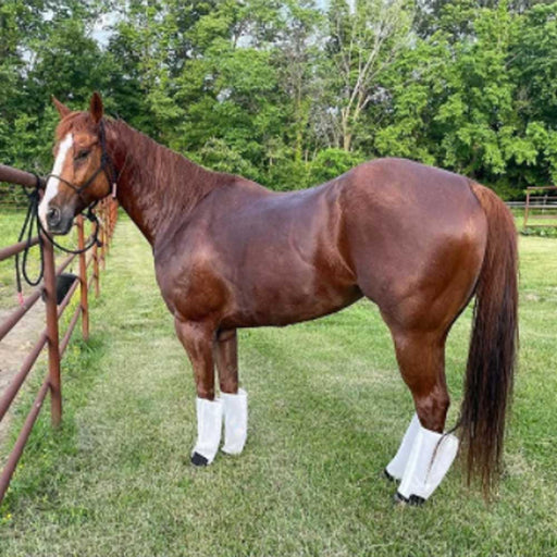 Fly Free Insect Protection Boots Equine - Fly & Insect Control FlyFree   