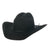 Twister Youth Black Wool Cowboy Hat HATS - KIDS HATS M&F Western Products   
