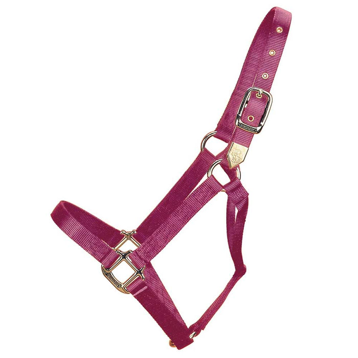Hamilton 1" Deluxe Nylon Halter - Horse Sizes Tack - Halters & Leads Hamilton