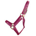 Hamilton 1" Deluxe Nylon Halter - Horse Sizes Tack - Halters & Leads Hamilton