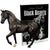 Black Beauty Horse & Book Set KIDS - Accessories - Toys Breyer   