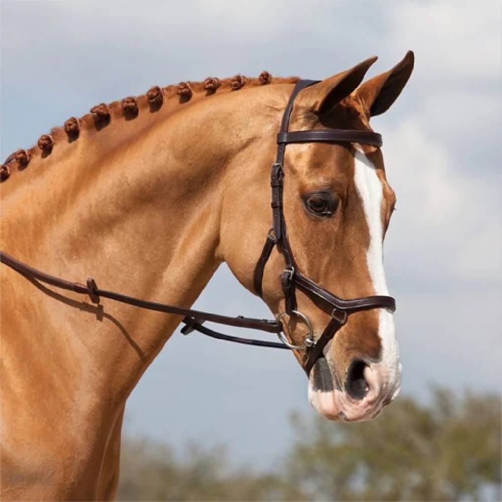 Rambo Micklem Competition Bridle