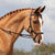Rambo Micklem Competition Bridle Tack - English Tack & Equipment - English Tack Horseware   