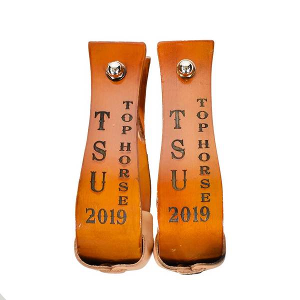 Trophy Stirrups #1 Customs & Awards - Stirrups Teskey's