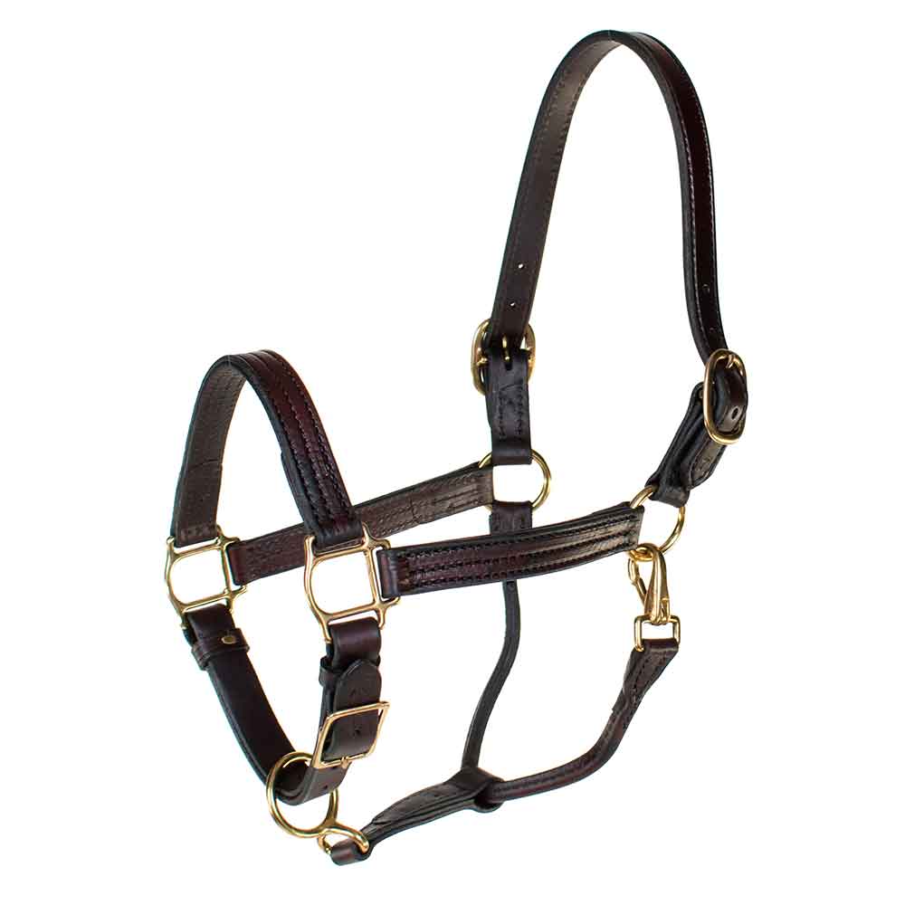 Teskey's 1" Triple Stitched Yearling Track Halter Tack - Halters & Leads - Halters Teskey's Default Title  